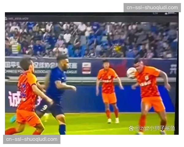 比赛因球迷向场内投掷杂物中断10分钟，主裁判对两队队长提出警告